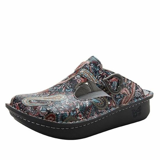 Brown Alegria Classic Groovin Women's Slip On Shoes | 620IVPAXL