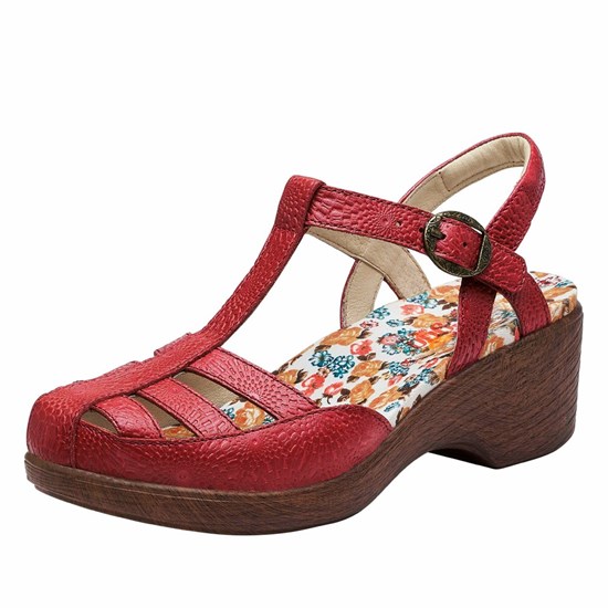 Red Alegria Summer Roman Candle Women's Mary Jane Shoes | 182VODZTA