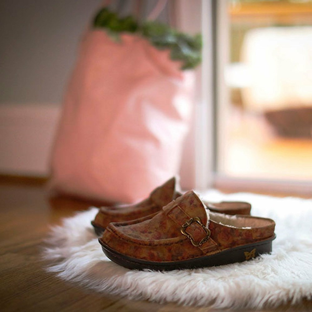 Brown Alegria Brigid Cognac Women's Clogs & Nursing Shoes | 164OAVBWK