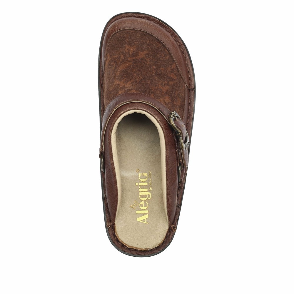 Brown Alegria Seville Peaceful Easy Women's Clogs & Nursing Shoes | 104CIDQJY