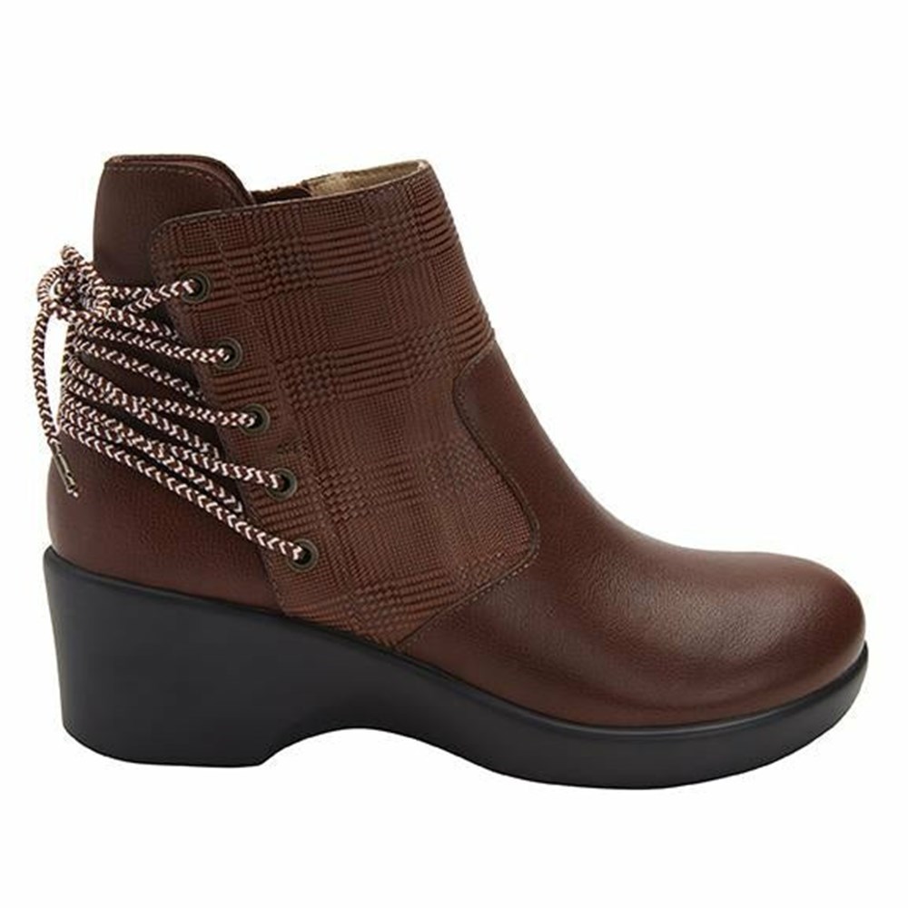 Brown Alegria Stevee Plaidly Women's Boots | 287QTEYNW