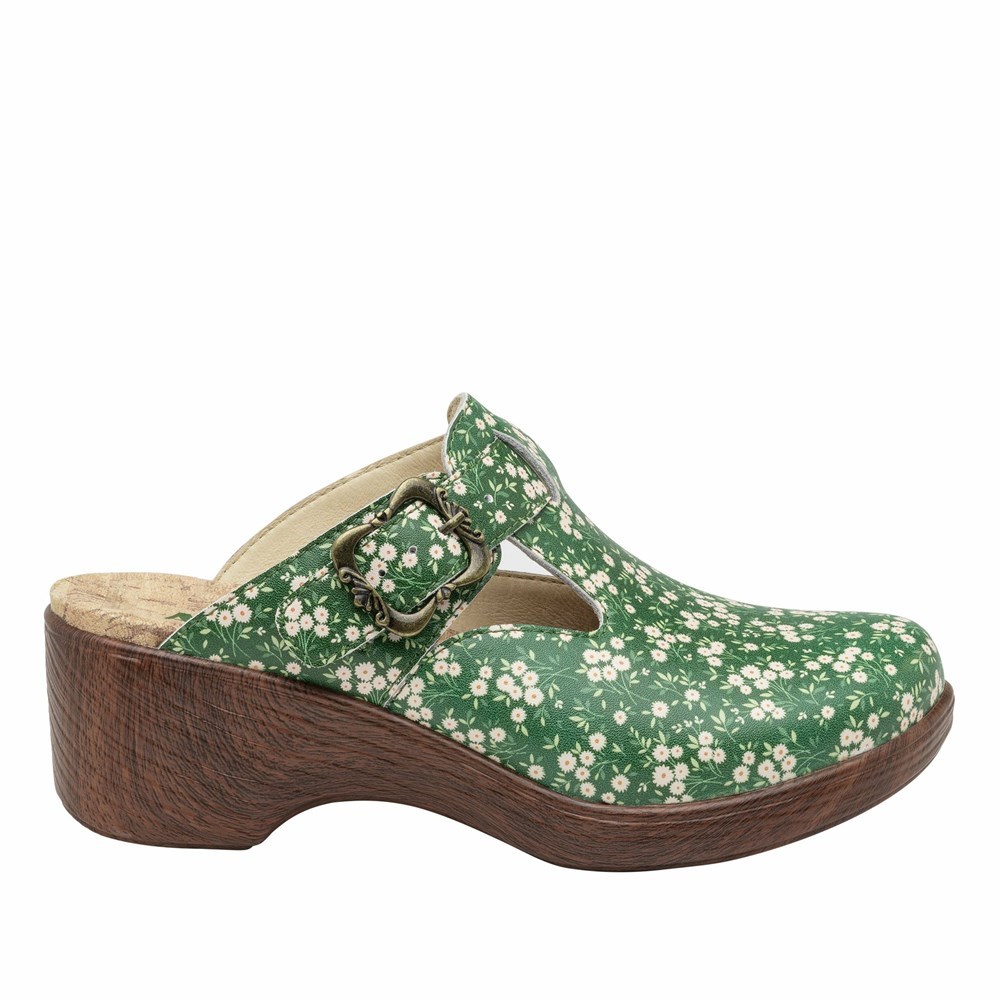 Green Alegria Selina Green Acres Women's Clogs & Nursing Shoes | 386EANUTK