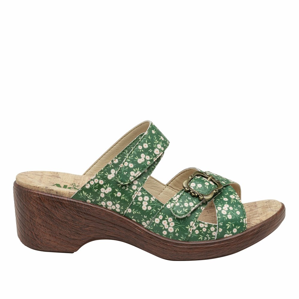 Green Alegria Sierra Green Acres Sandal Women's Wedge & Heels | 807EQWYCF