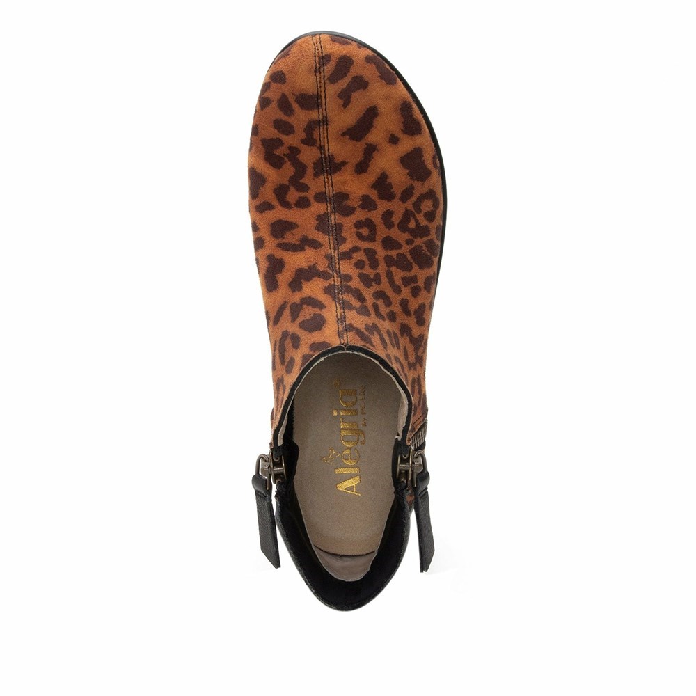 Leopard Print Alegria Sloan Leopard Women's Boots | 518SHBFCN