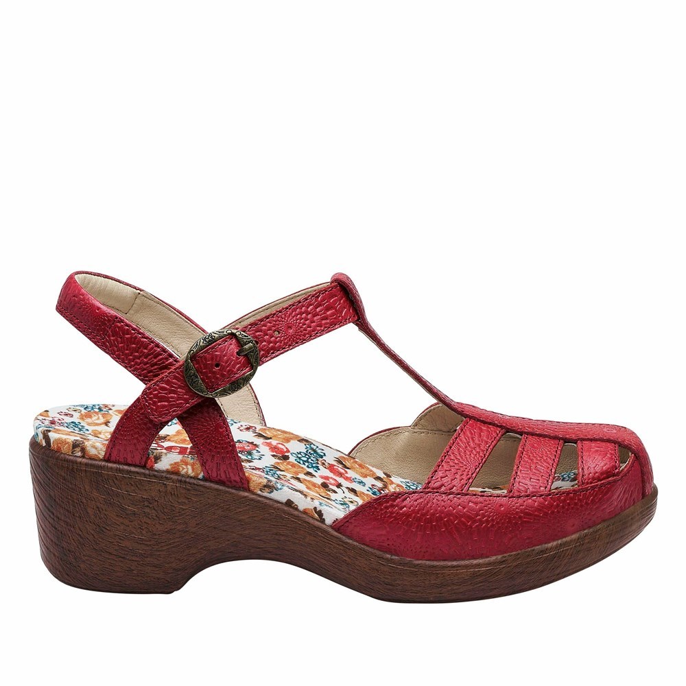 Red Alegria Summer Roman Candle Women's Mary Jane Shoes | 182VODZTA