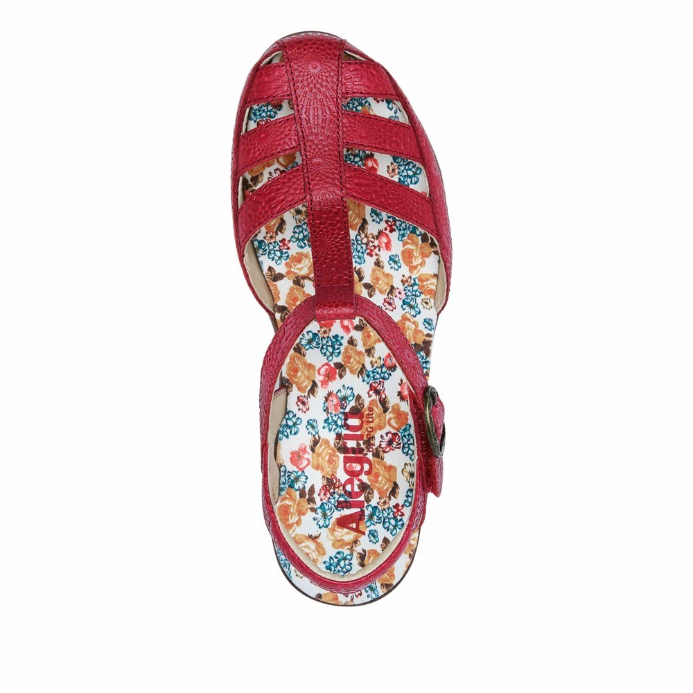 Red Alegria Summer Roman Candle Women's Mary Jane Shoes | 182VODZTA