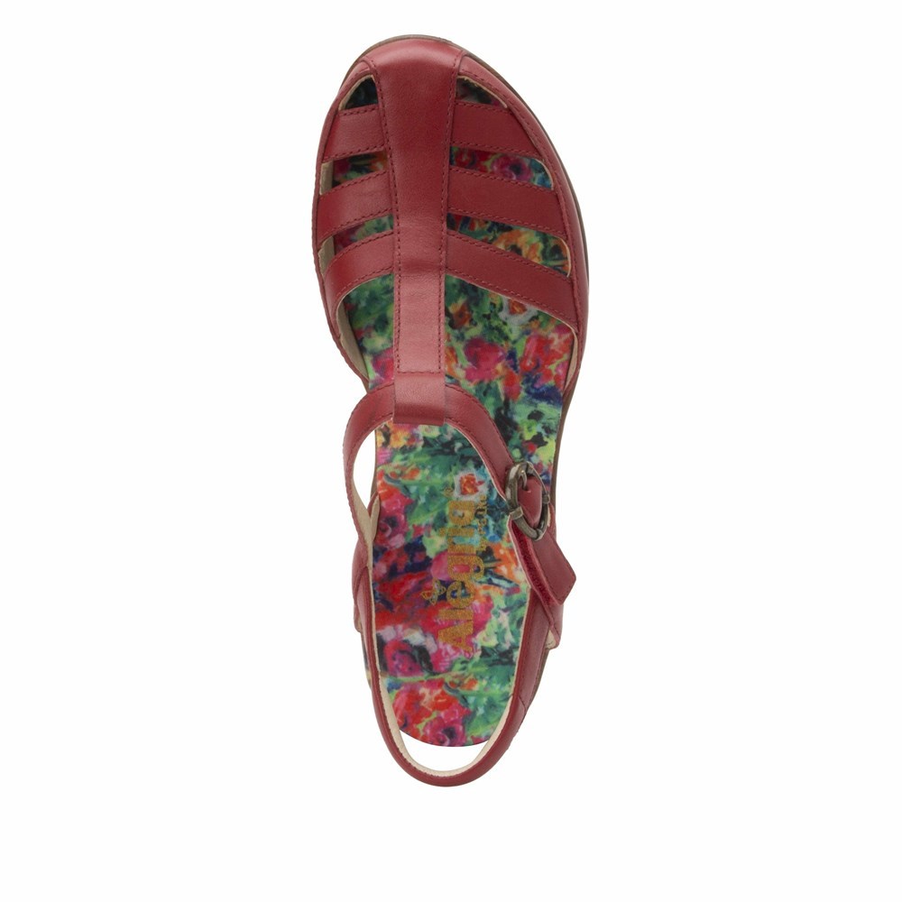 Red Alegria Summer Women's Wedge & Heels | 476AMNQDG